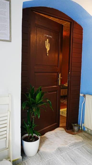 Sahara Studio With Shared Bathroom In City Centre Bratysława Zewnętrze zdjęcie